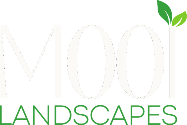 Mooi Landscapes