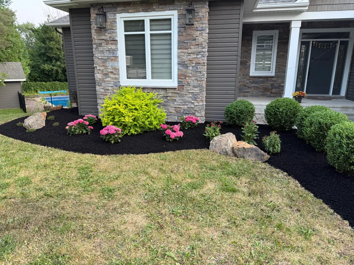 Renewed foundation bed in front of a house: rounded shrubs, pink flowering perennials and two boulders in black mulch, with a clean edge to the lawn